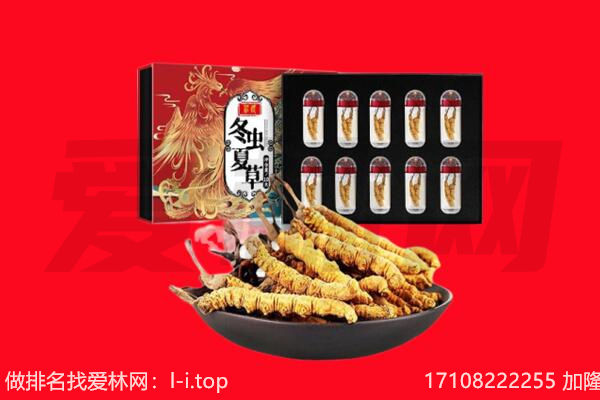长春回收虫草.jpg